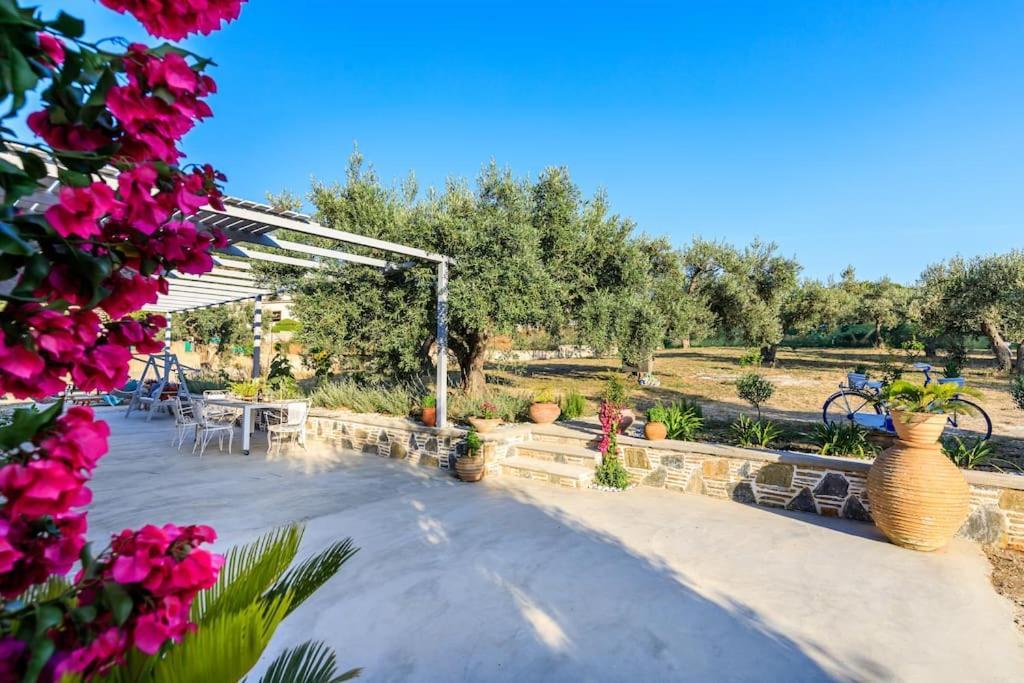 Skopelos Blue Heaven Pool Villa In Olive Grove المظهر الخارجي الصورة