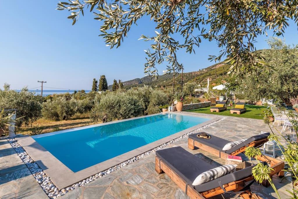 Skopelos Blue Heaven Pool Villa In Olive Grove المظهر الخارجي الصورة