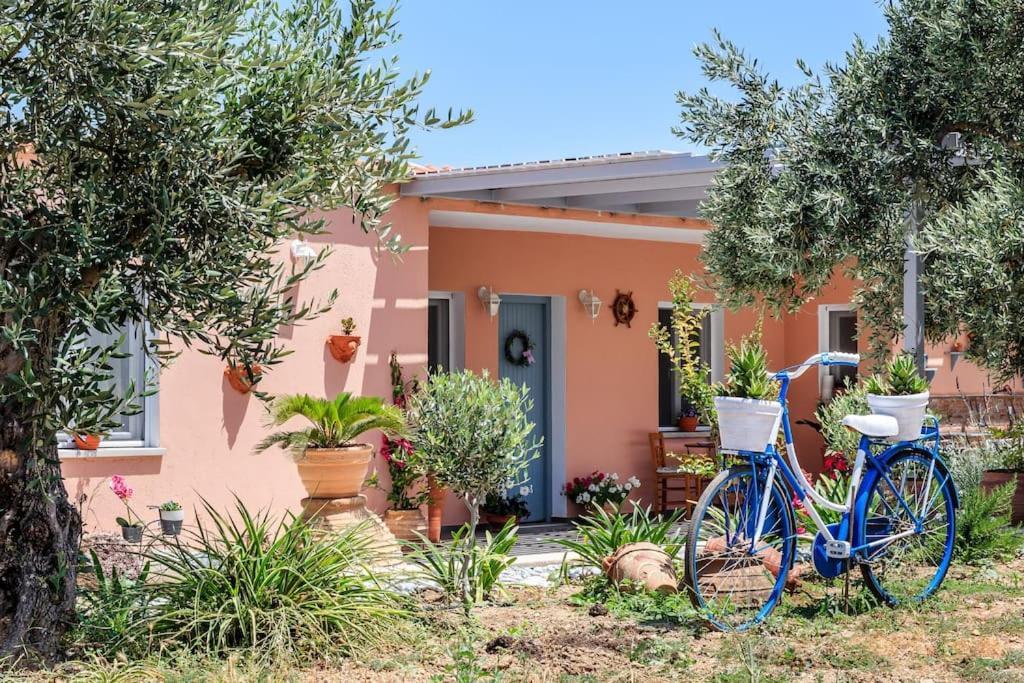 Skopelos Blue Heaven Pool Villa In Olive Grove المظهر الخارجي الصورة