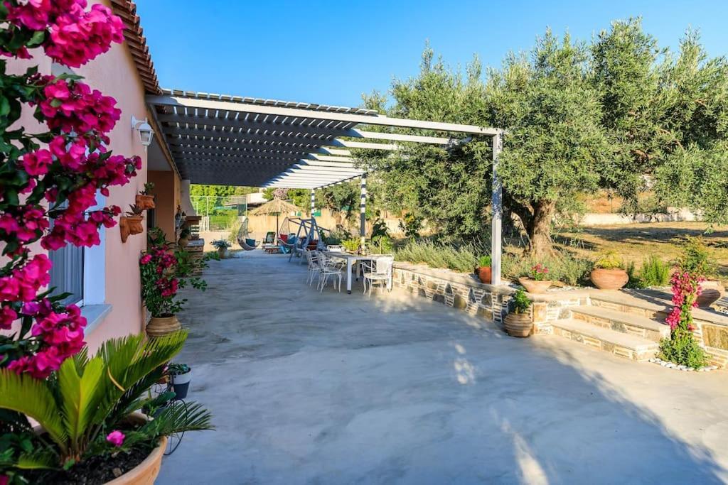 Skopelos Blue Heaven Pool Villa In Olive Grove المظهر الخارجي الصورة